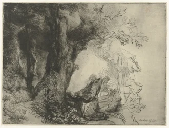 Saint Francis under et tre, ber St Francis under et tre ber