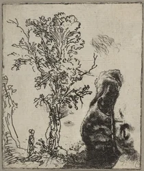 Ark med to studier: Et tre og den øvre delen av et hode av Rembrandt iført vel..., ca. 1642.