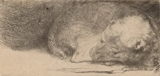 Sovende valp, ca. 1640.