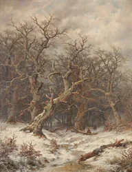 Vinterlandskap (vinterskog)
