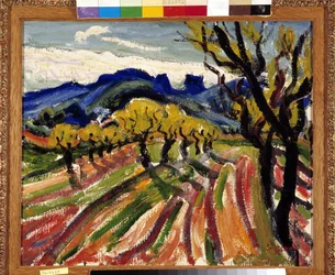 Felt med oliventrær i Alpilles (olje på lerret)