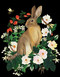 Villkanin og blomster
