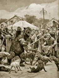 Bear Baiting i Saxon Times, illustrasjon fra 