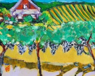Merlot druer, Napa, 2017