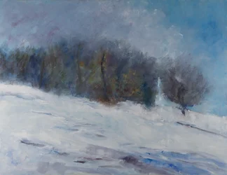 Snødekt vinterskog