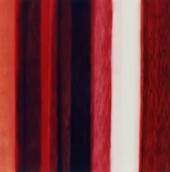 Stripe XII, 2005