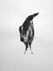Uten tittel, 2009 (monotypi)