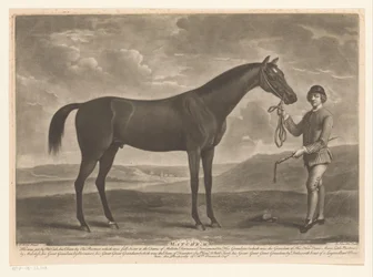 Racepaard med jockey Matchem (tittel på objekt)