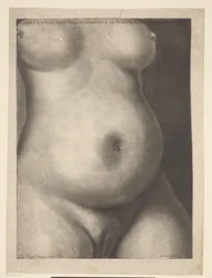 Torso av en gravid kvinne Seks anatomiske utskrifter av en graviditet (serietittel) Demonstrasjoner av en gravid livmor til en kvinne på heltid (...) (serietittel) Caroli Nicolai Jenty Uteri Praegnantis & ad Partum Maturi Demonstrationes (serier