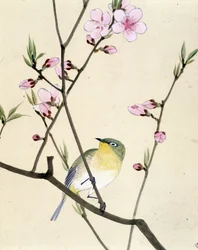 Fugl - japansk tegning av Riou Chim, sent på 1800-tallet
