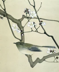 Fugl - japansk tegning av Riou Chim, sent på 1800-tallet