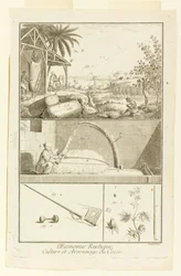 "Cultivation et Arsonnage du Coton" fra Diderot