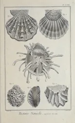 Illustration from 