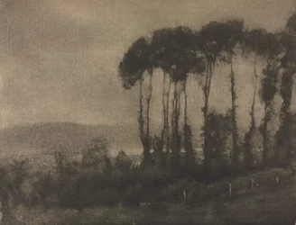 Kameraarbeid: Toucques Valley