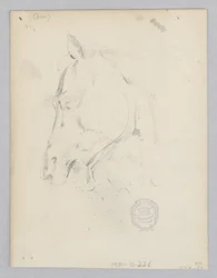 Hest