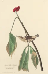 Louisiana vanntrost, 1827.