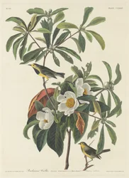 Bachmans sånger