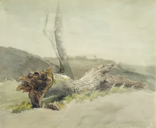 The Fallen Tree, ca. 1804 (wc over grafitt på vevd papir)
