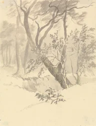 Skogen