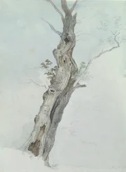 Trestudie, ca. 1800-05 (wc over grafitt på papir)