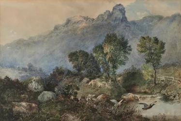 Landskap med stokkand