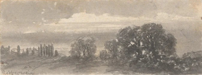 Landskap - Trær