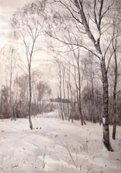 Vinterskogen