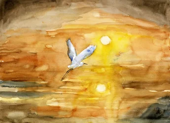 Egrets flytur i den gyldne solnedgangen