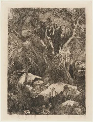 Skogen i Fontainebleau