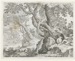 Sovende gjeter ved et stort tre
