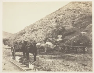 Storfe og vogner, forlater Balaklava, 1855.