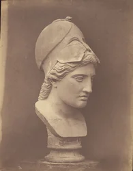 Minervas hode [trekvart profil]