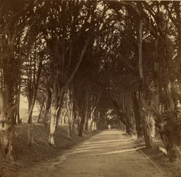 Den mørke vandringen; Stonyhurst