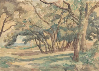 Wooded Glade nær St. Tropez