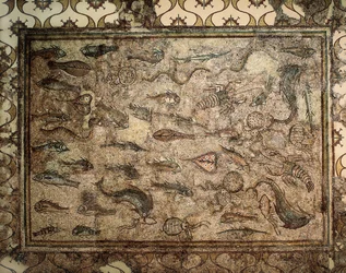 Romersk kunst: mosaikk av fisk. Begynnelsen av det 3. århundre. Tarragona. Nasjonalt arkeologisk museum.