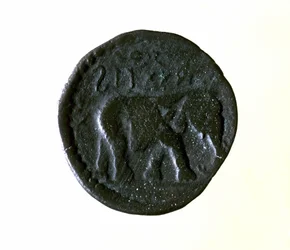 Kartago-mynt som representerer en elefant. 3. eller 2. århundre f.Kr.