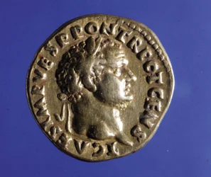 Mynt med bilde av den romerske keiseren Titus (40 - 81). Samling av Medagliere i Milano.