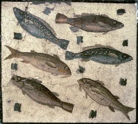 Fisk (mosaikk)