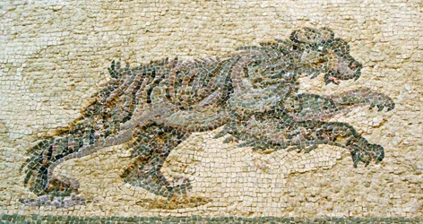 Jaktscene, detalj av en bjørn, House of Dionysos, Paphos, Kypros mosaikk