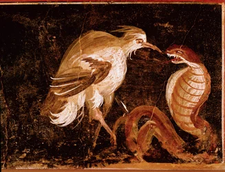 Romersk kunst: "" Kamp mellom en hegre og en kobra"" Romersk freskomaleri fra Epigrammenes hus, Pompei, Italia (Kamp mellom hegre og kobra, freskomaleri fra casa degli Epigrammi, Pompeii) 60-80 e.Kr.