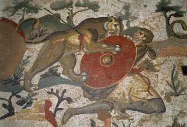 Romersk kunst: en jeger angrepet av en løvinne beskytter seg selv med skjoldet sitt. Detalj av mosaikk av ""Den store jaktdelen"" 315-350 e.Kr. Piazza Armerina, Villa Romana del Casale