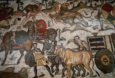 Romersk kunst: detalj av mosaikken "" Den store jaktdelen"" Røye trekker av okser. 315-350 e.Kr. Piazza Armerina, Villa Romana del Casale