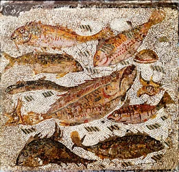 Romersk kunst: mosaikk med fisk. 1. eller 2. århundre e.Kr. Fra Villa dei Settimii ved Via Cassia. Roma, Museo Nazionale Romano