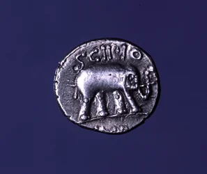 Sølvmynt som representerer en elefant, fetisjdyr fra Scipions. Lucius Caecilius Metellus grep de karthagiske elefantene i 251 f.Kr. 47-46 f.Kr.