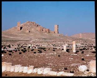 Utsikt over tårngravene til Iamblichus og Elahbel (fotografi)