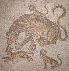Tigress and Cubs, 300-tallet