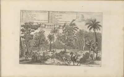 Bomen en specerijen Indiske planter, etc / Indiaensche kruyden, etc (tittel på objekt) Øst- og Vestindia og andre steder (serietittel)