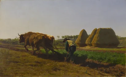 Pløyingsscene