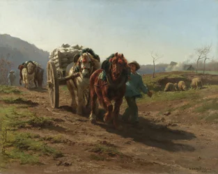 Tilbake fra feltene