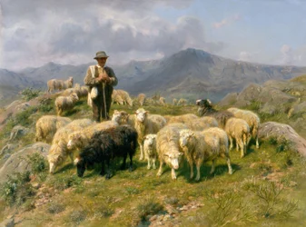 Pyreneenes hyrde